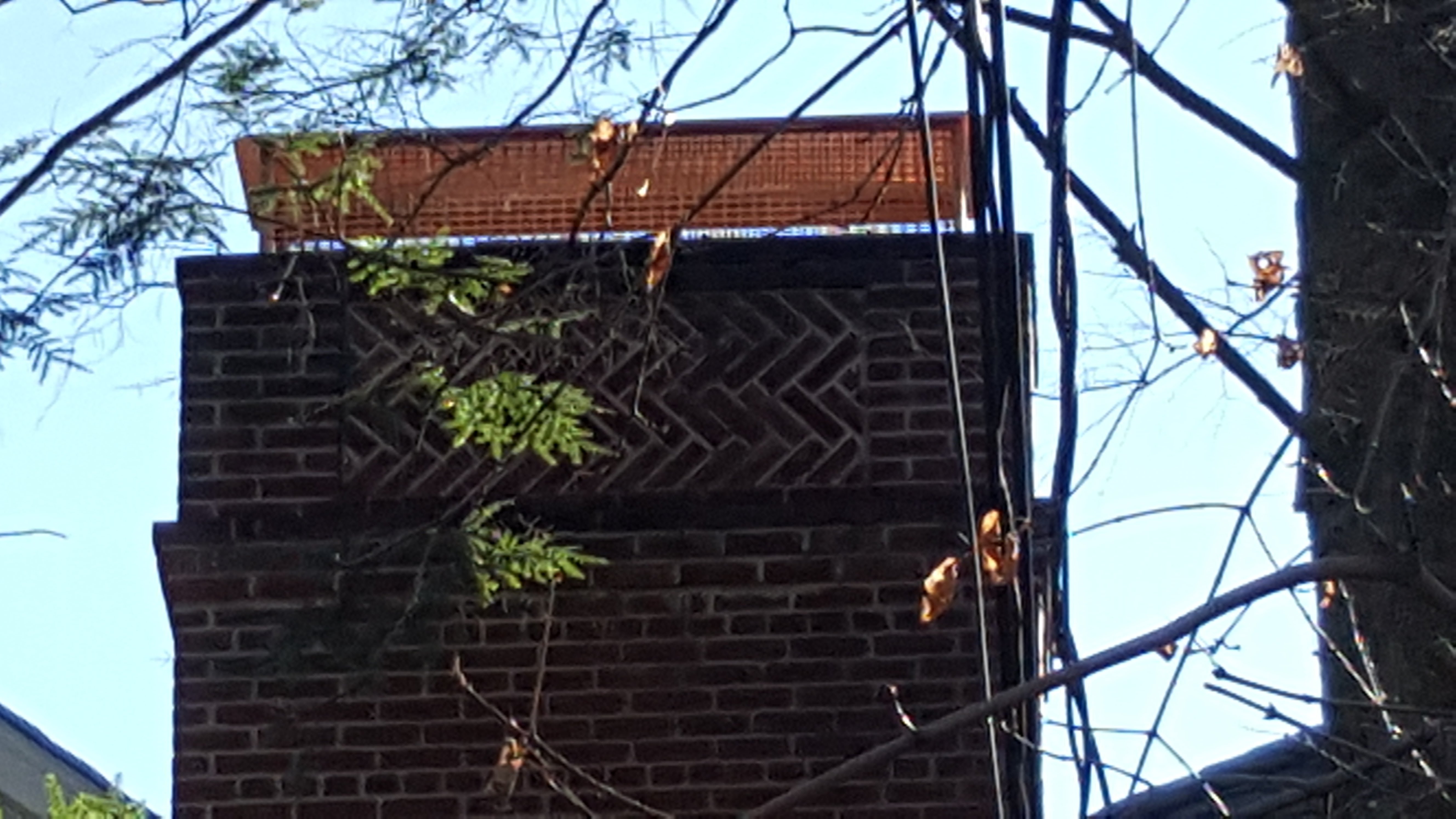 Animal-proof chimney cap protecting home in West Hempstead, New York